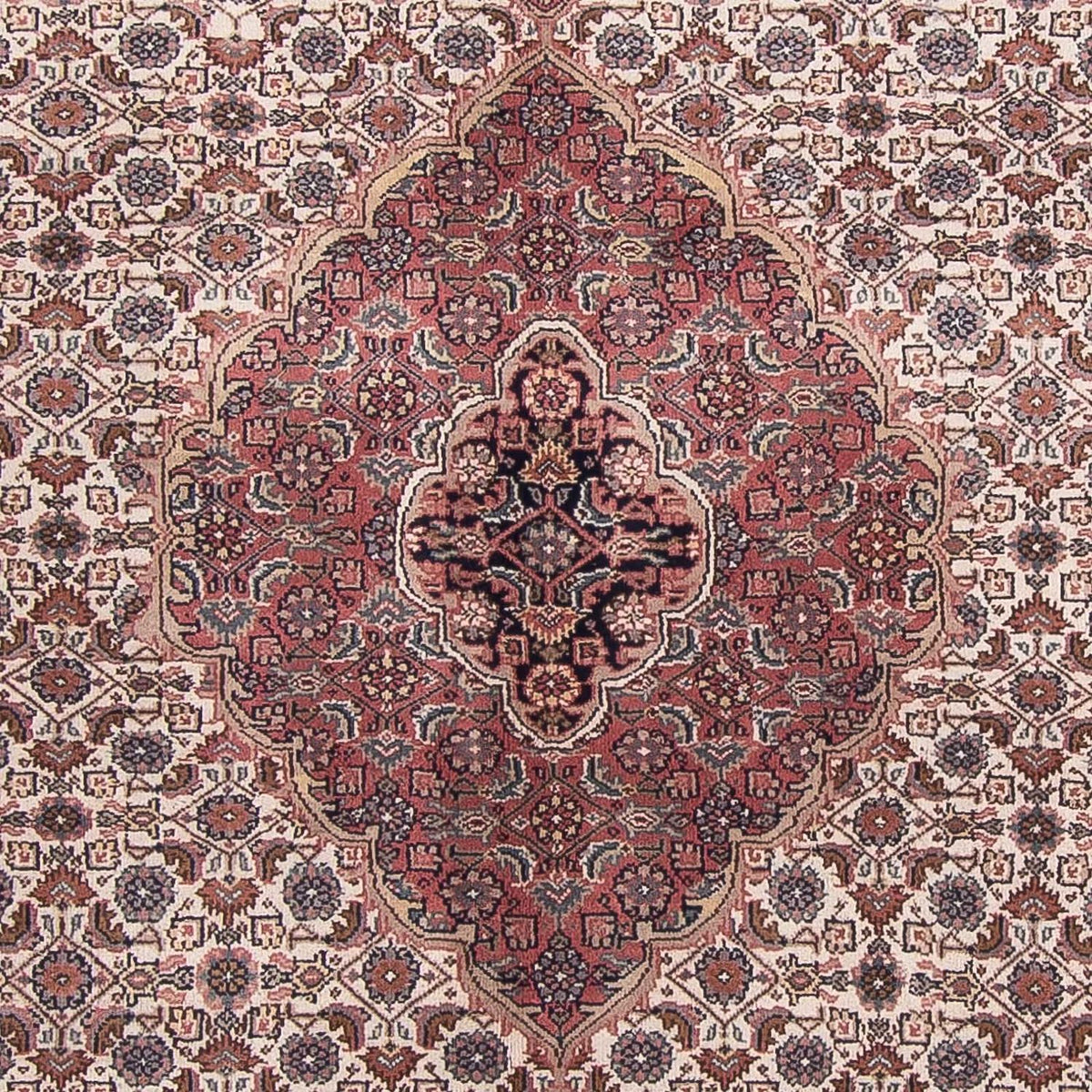 Tapis oriental - Bidjar - Indus - 303 x 245 cm - beige