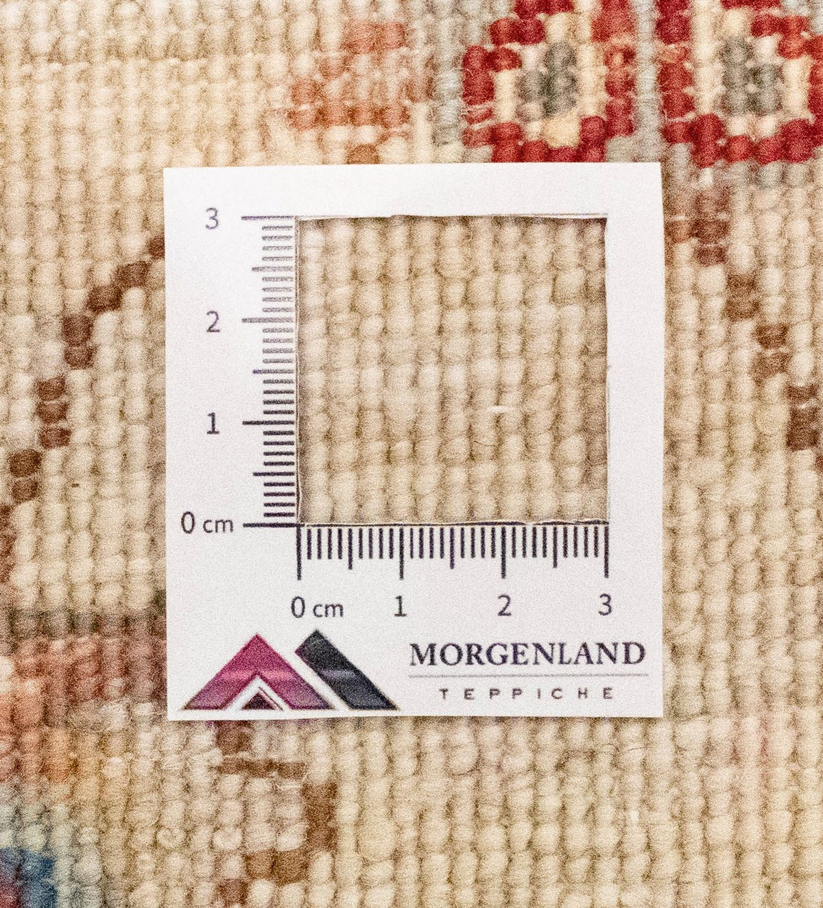 Tapis de couloir Tapis Ziegler - 259 x 79 cm - beige