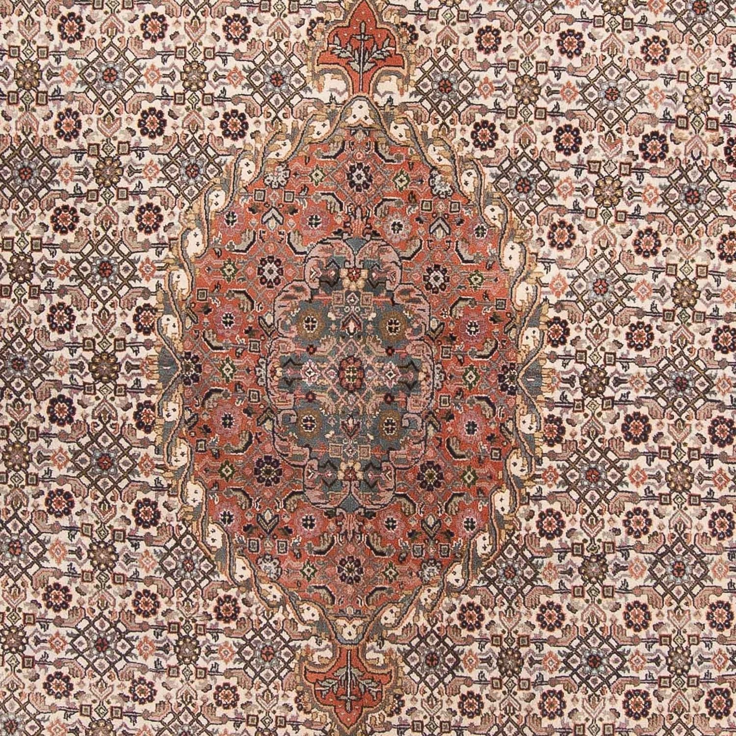 Tapis oriental - Bidjar - Indus - 338 x 243 cm - beige