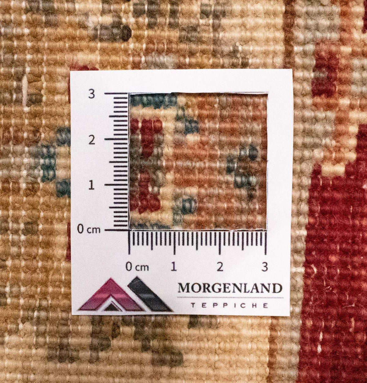 Tapis Ziegler - 94 x 61 cm - rouge