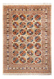 Ariana Tapis 247x175cm - Tapis oriental