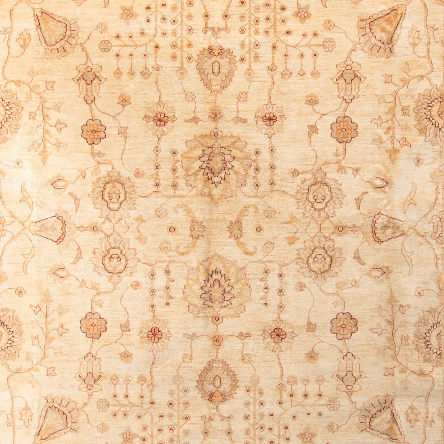 Tapis Ziegler - 406 x 288 cm - beige