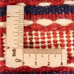 Tapis de couloir Tapis Kelim - Oriental - 200 x 70 cm - multicolore