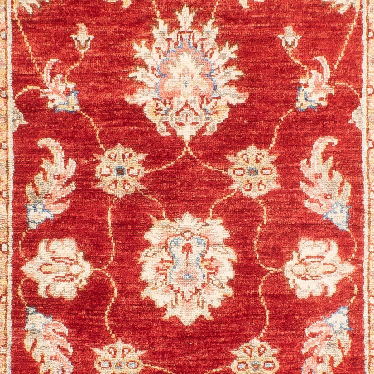 Tapis de couloir Tapis Ziegler - 216 x 83 cm - rouge