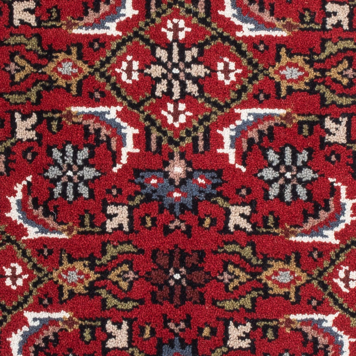 Tapis oriental - Bidjar - Indus - 90 x 60 cm - rouge
