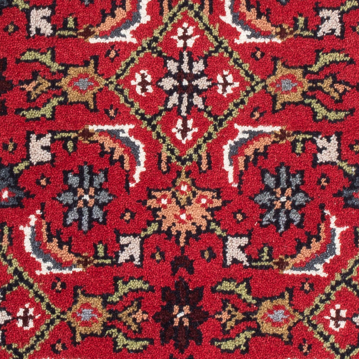 Tapis oriental - Bidjar - Indus - 90 x 60 cm - rouge