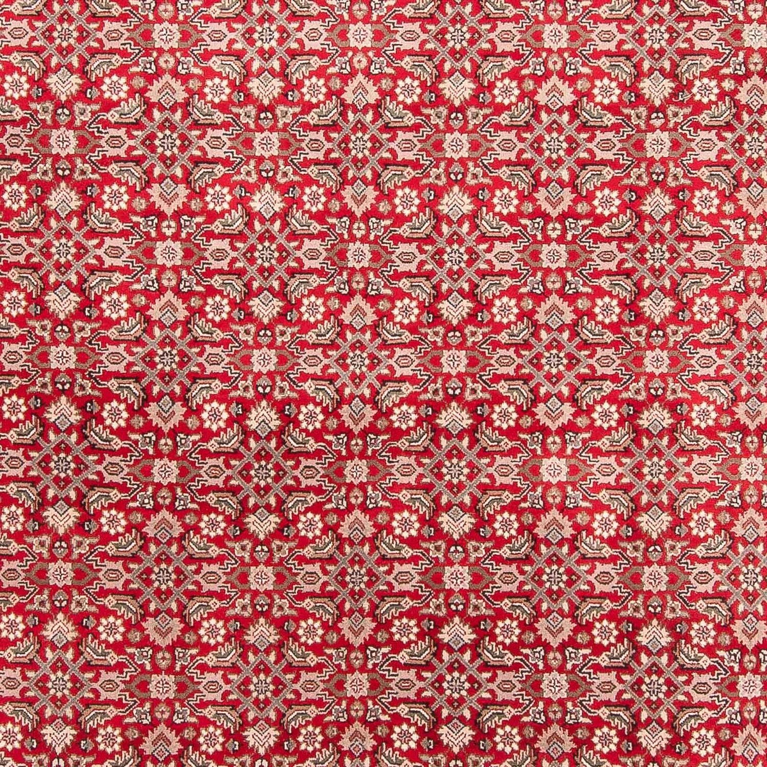 Tapis oriental - Bidjar - Indus - 352 x 237 cm - rouge