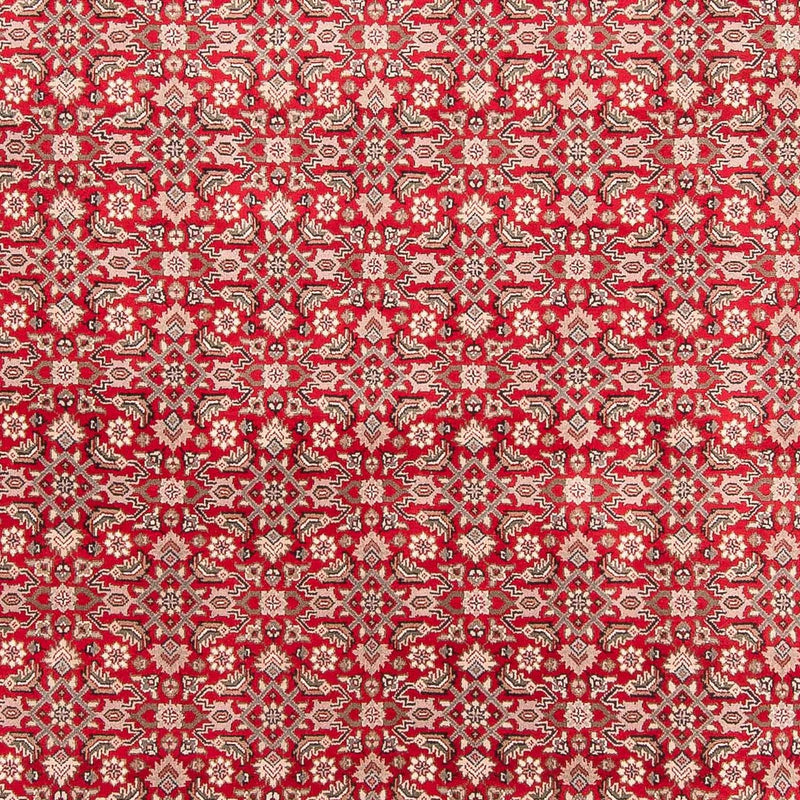 Tapis oriental - Bidjar - Indus - 352 x 237 cm - rouge
