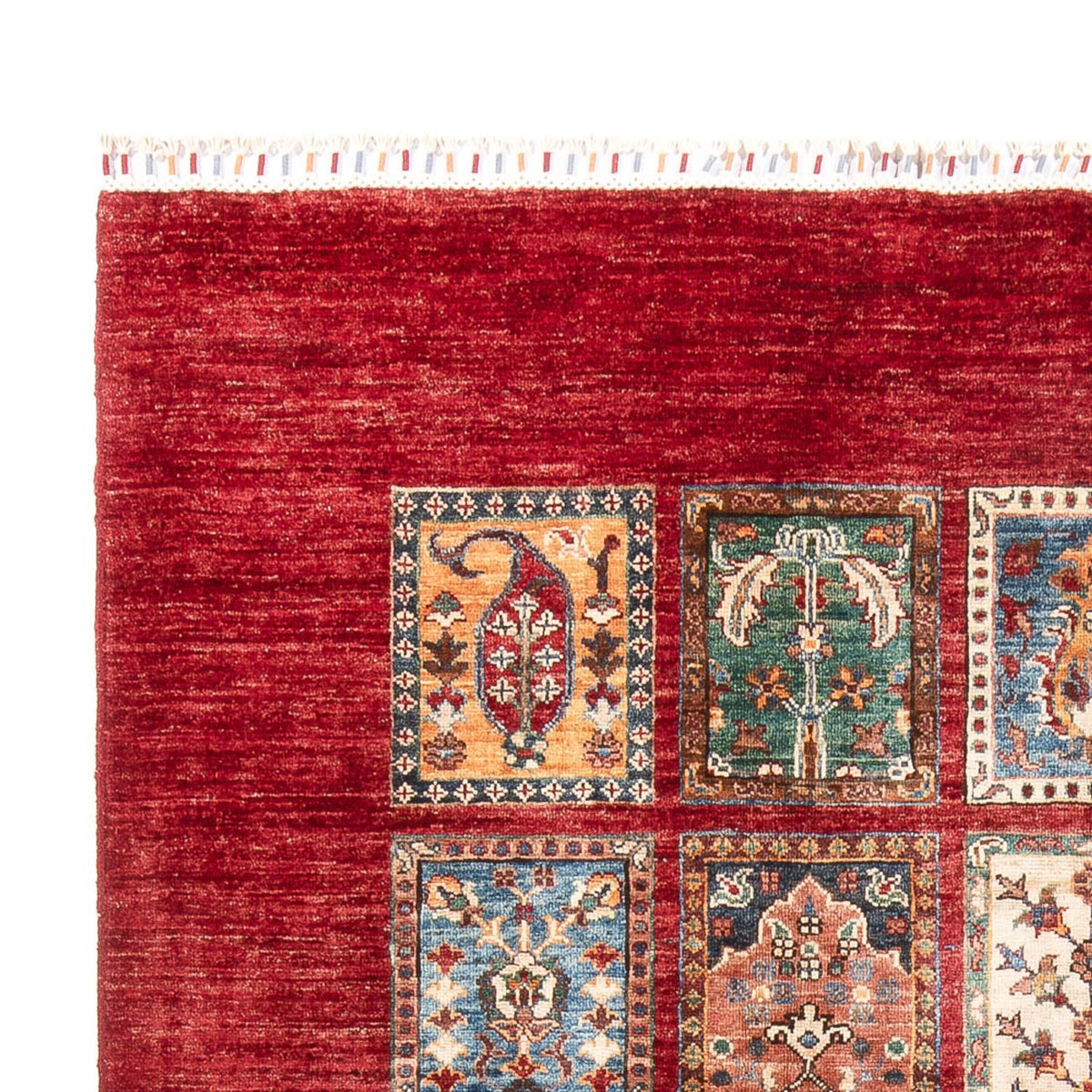 Tapis Bakhtiari Tapis 175x250cm - Tapis oriental
