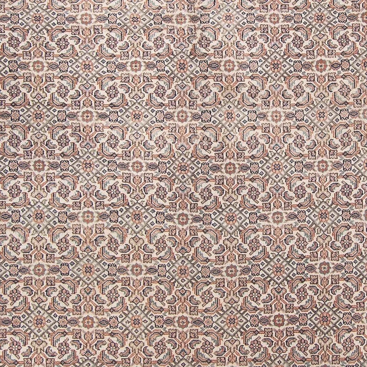 Tapis oriental - Bidjar - Indus - 303 x 244 cm - beige