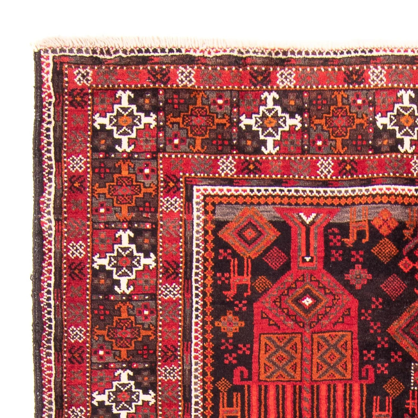 Tapis Belutsch 240x124cm - Tapis persan