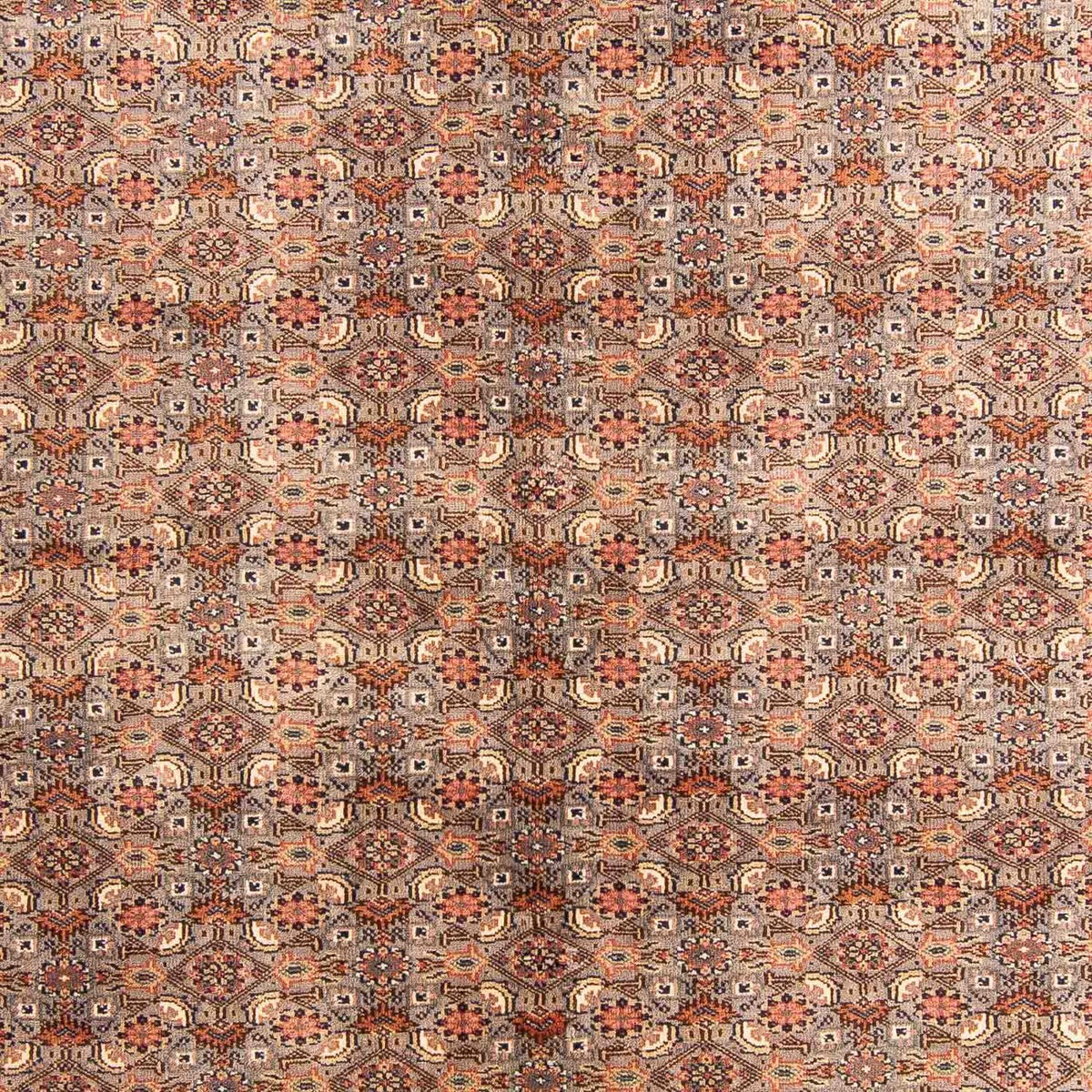 Tapis oriental - Bidjar - Indus - 233 x 181 cm - multicolore