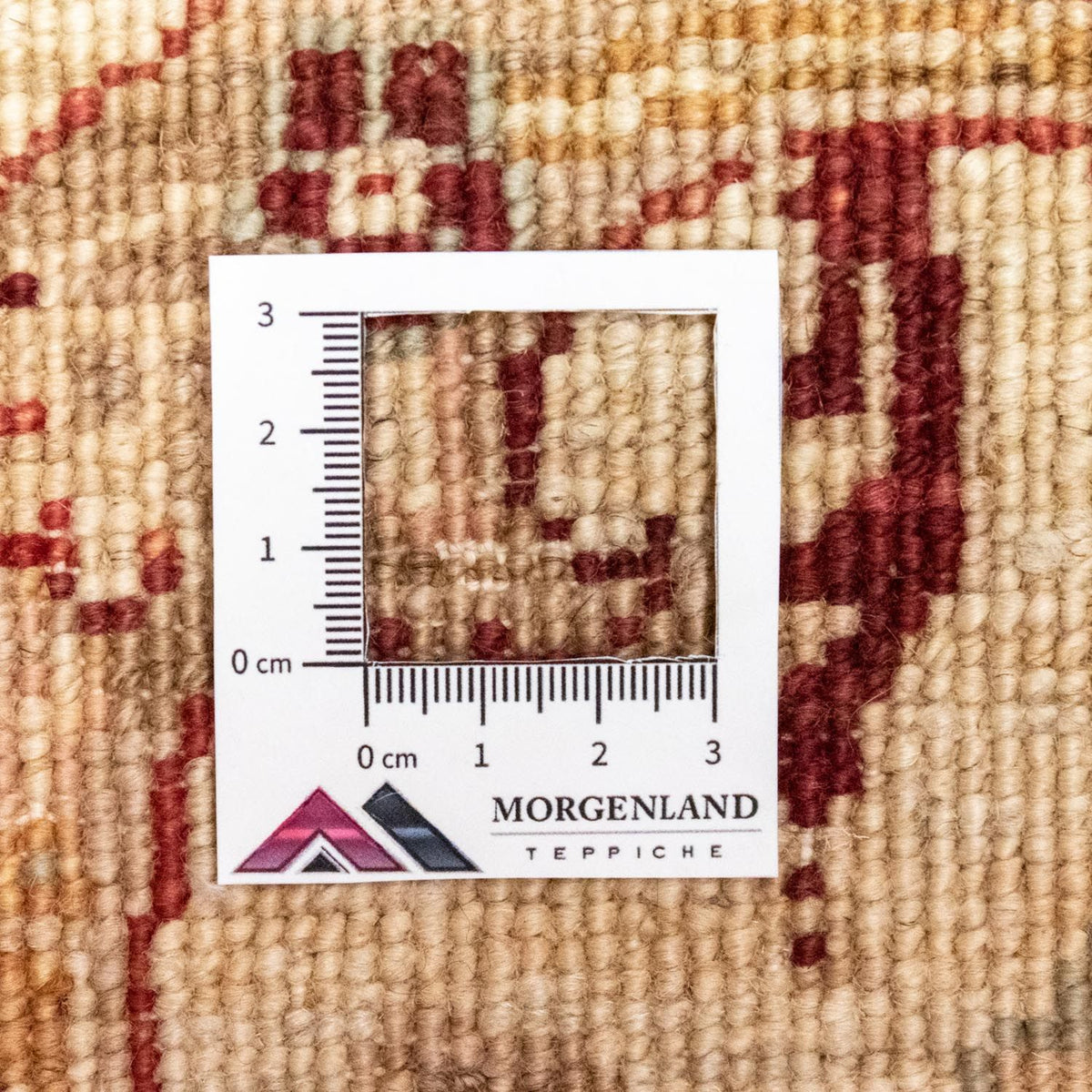 Tapis Ziegler - 247 x 166 cm - rouge