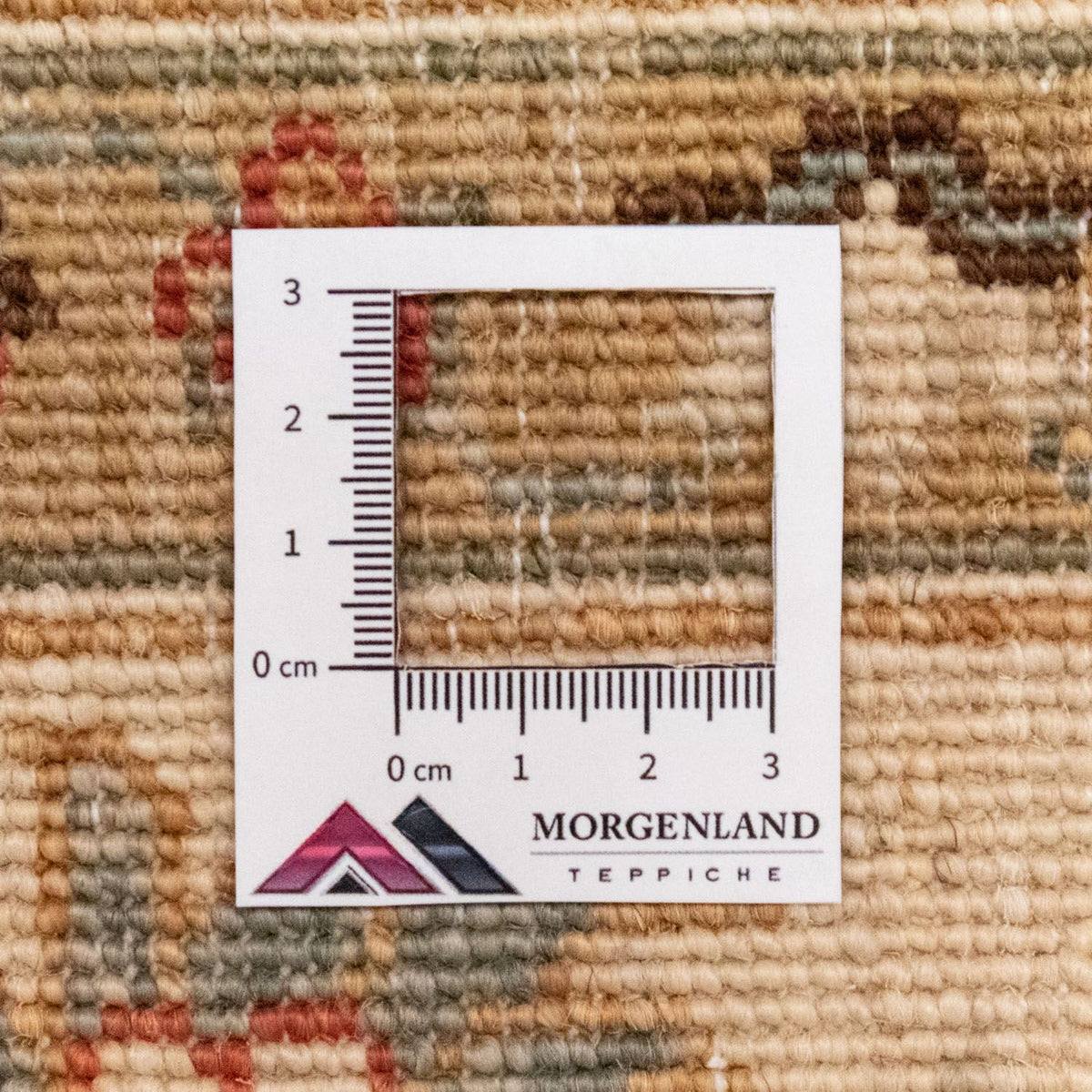 Tapis Ziegler - 248 x 180 cm - beige