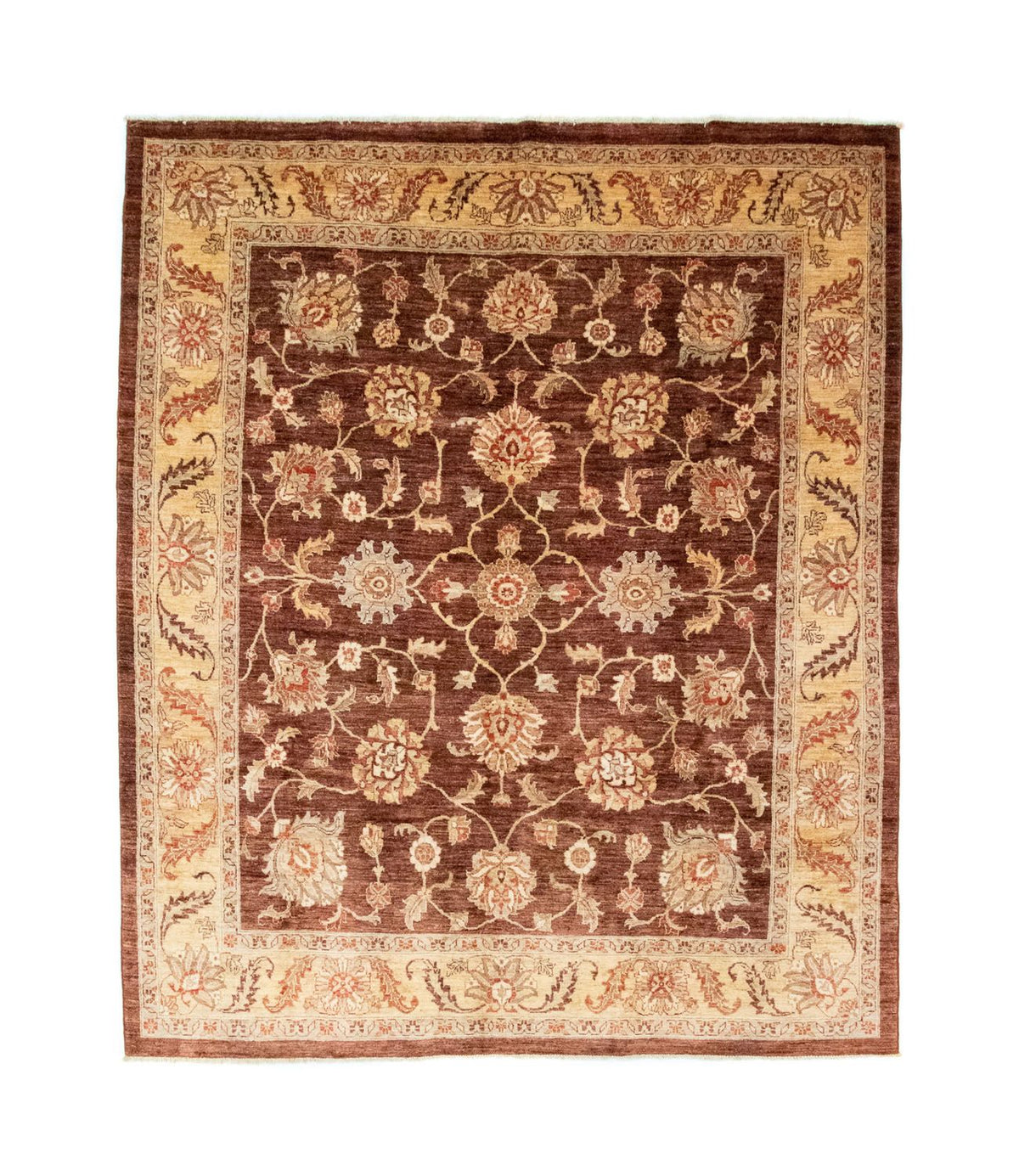 Tapis Ziegler - 290 x 249 cm - marron