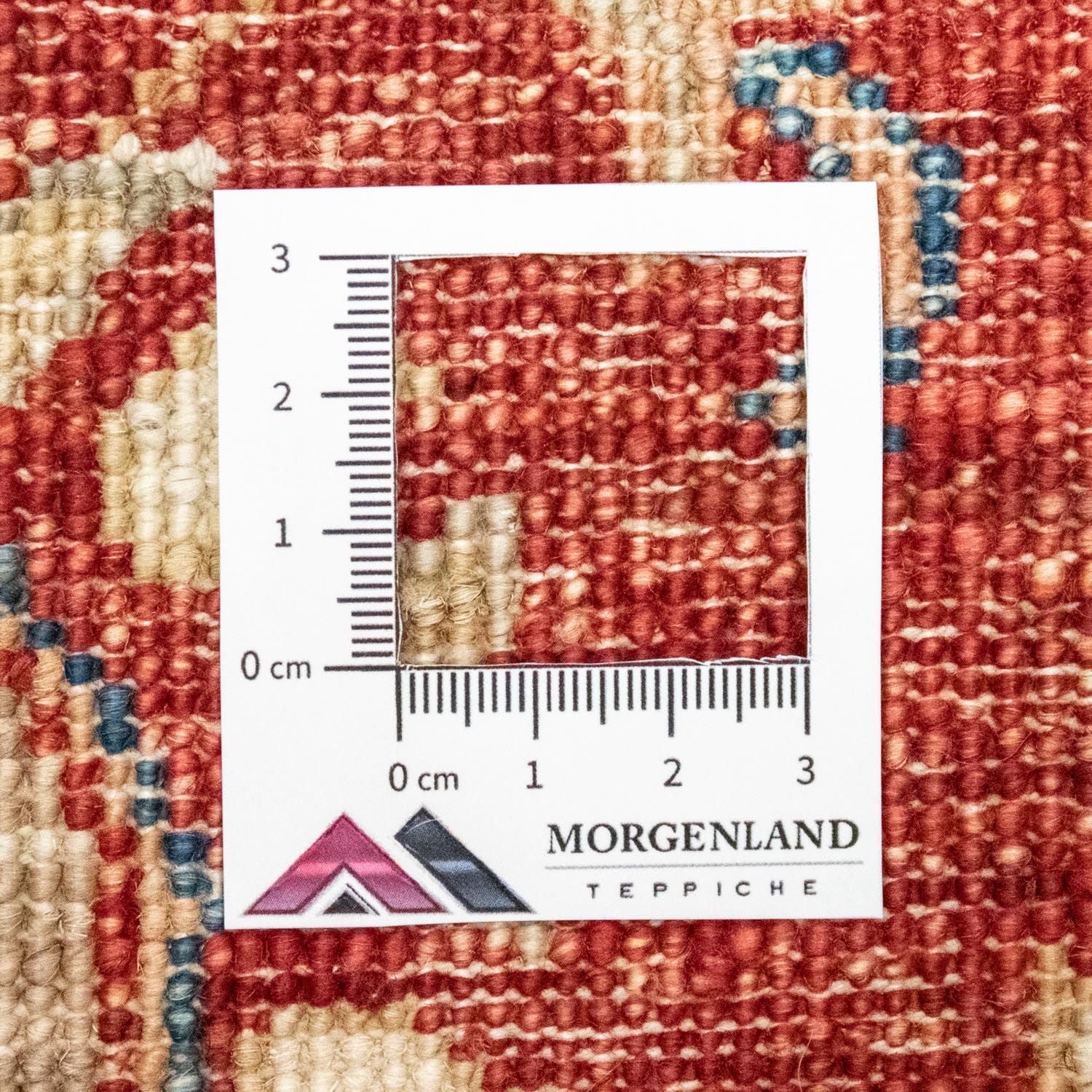 Tapis Ziegler - 227 x 173 cm - beige