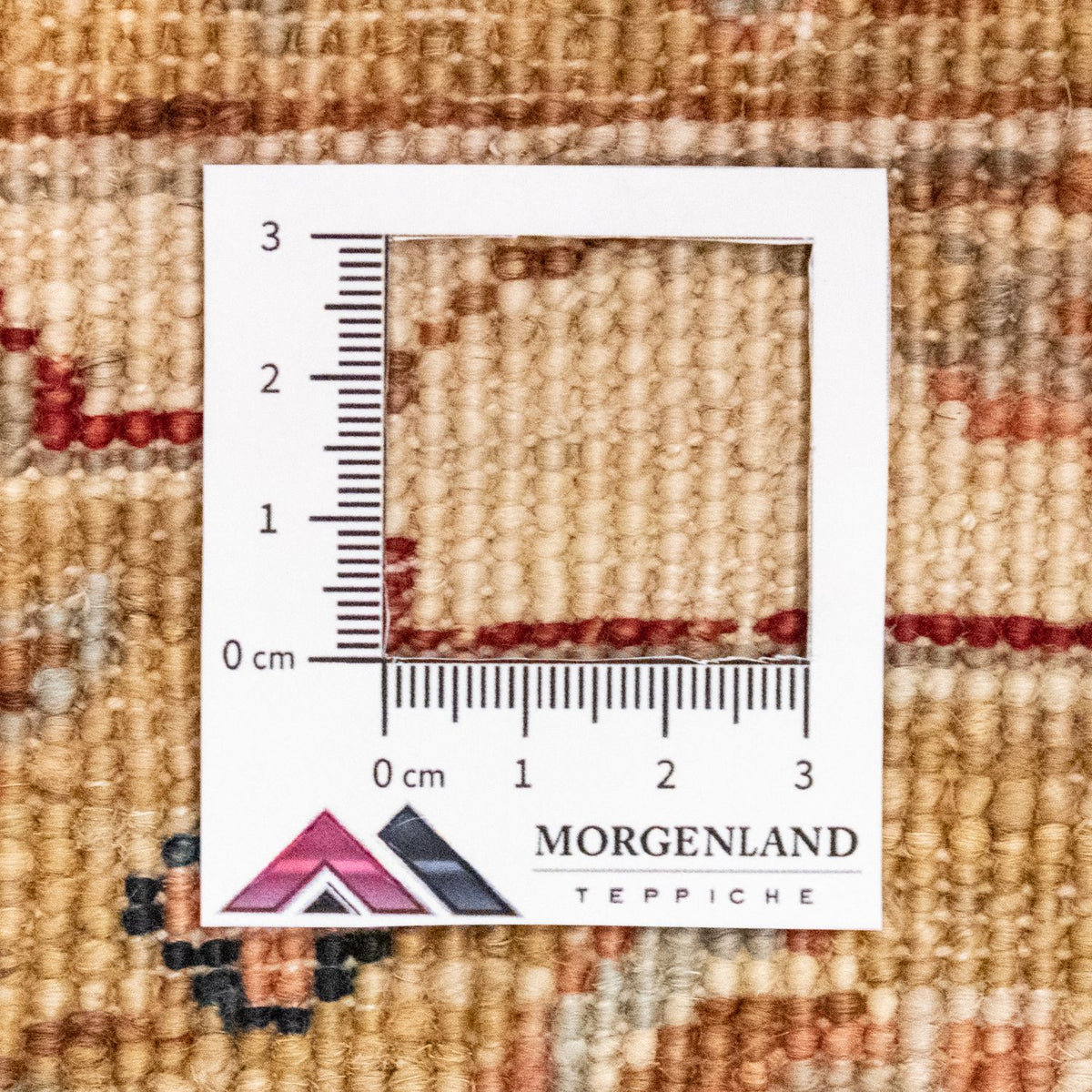 Tapis Ziegler - 238 x 172 cm - rouge