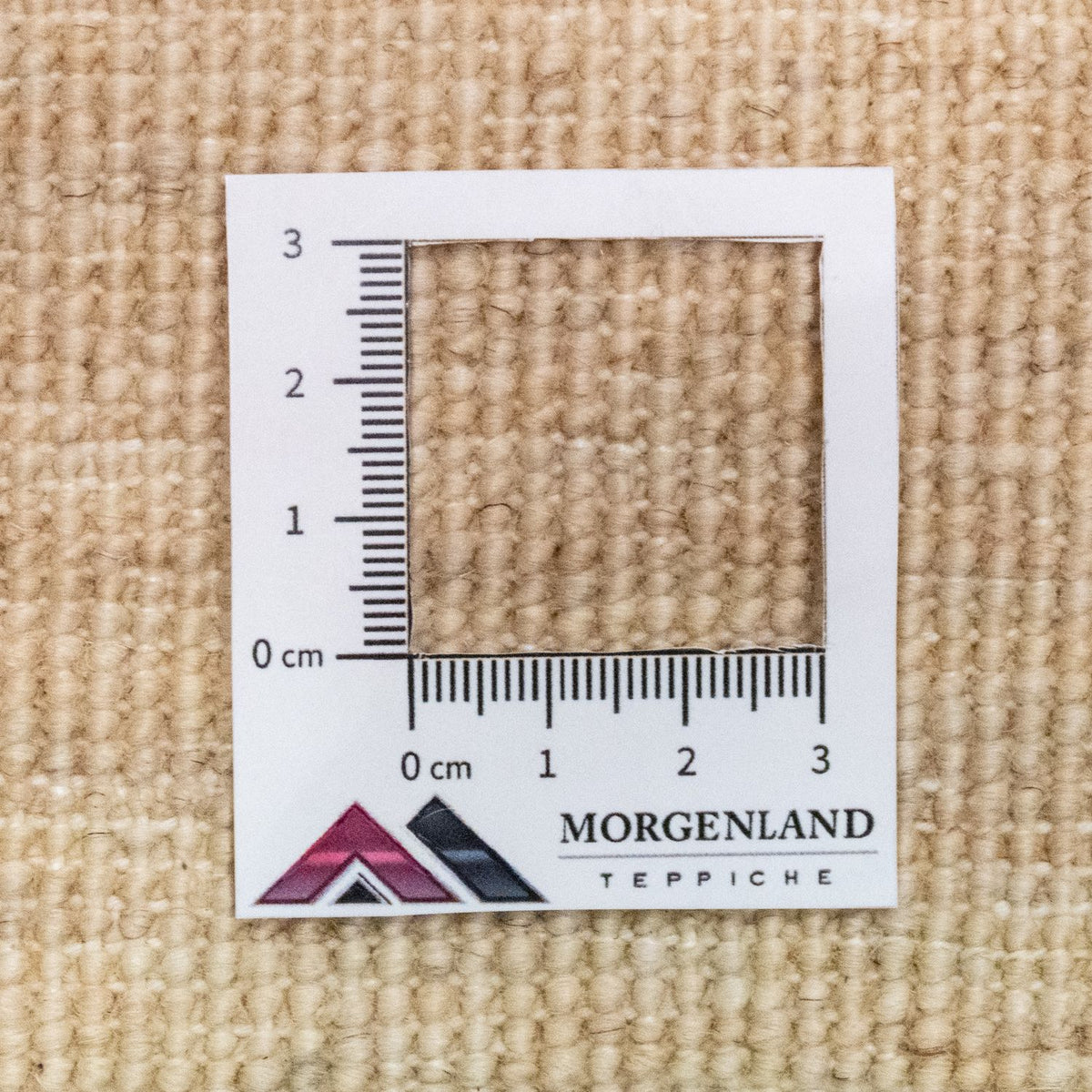 Tapis Ziegler - 256 x 186 cm - colorée