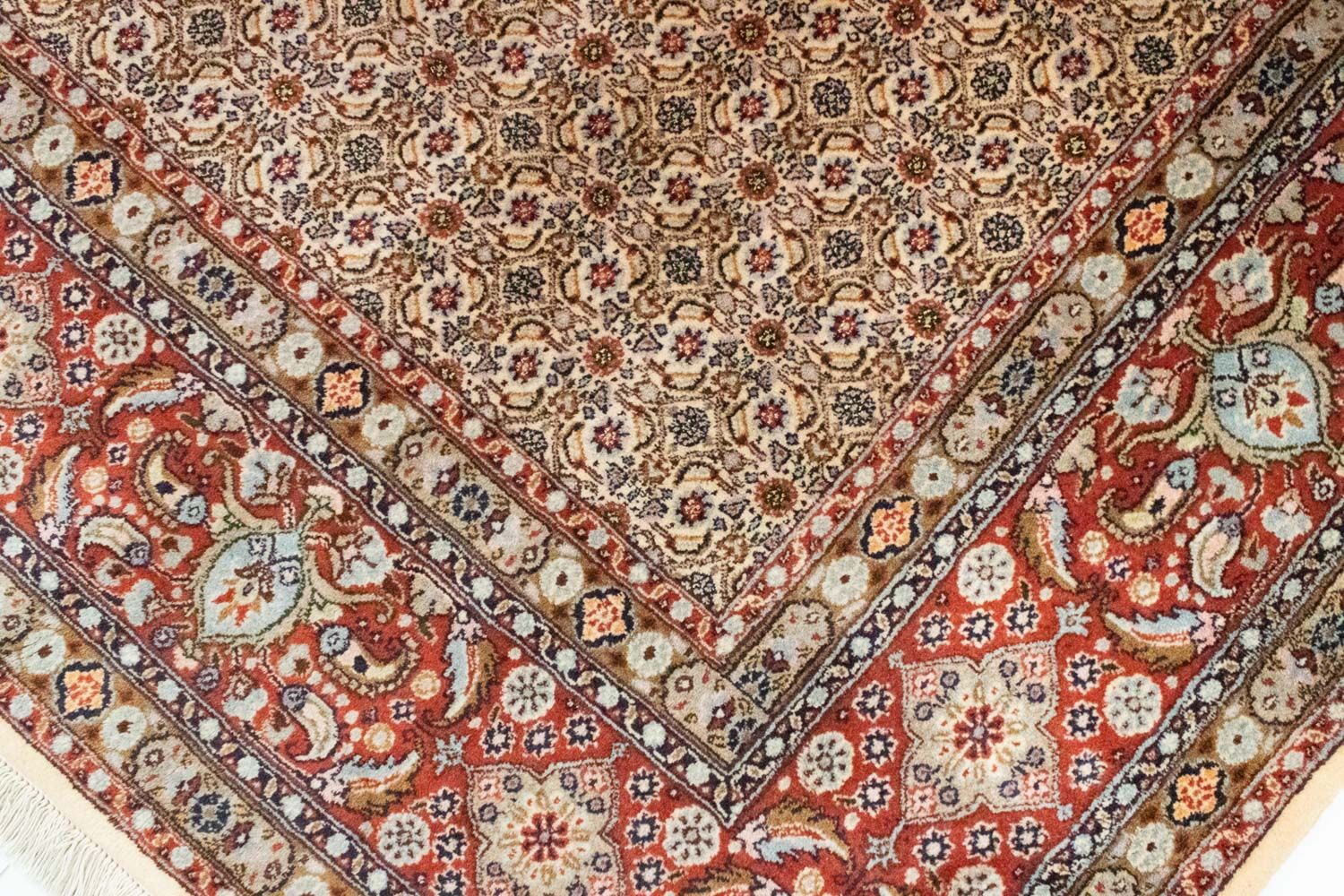 Tapis persan - Classique - 339 x 249 cm - marron