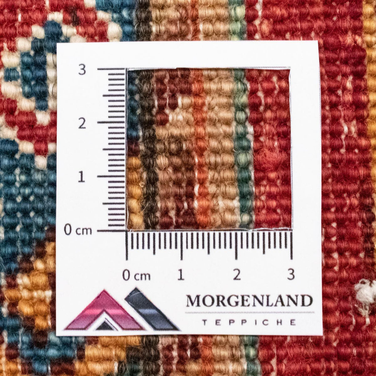 Tapis Ziegler - 243 x 170 cm - multicolore