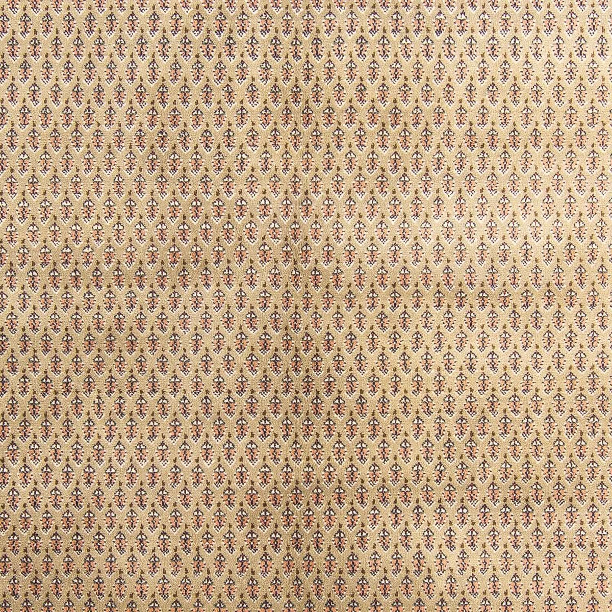 Tapis oriental - Mir - Indus - 238 x 176 cm - beige clair