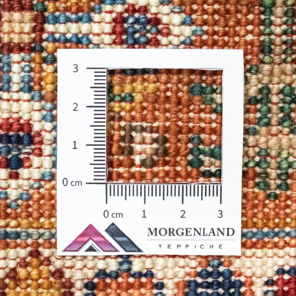 Tapis Ziegler - 252 x 180 cm - multicolore