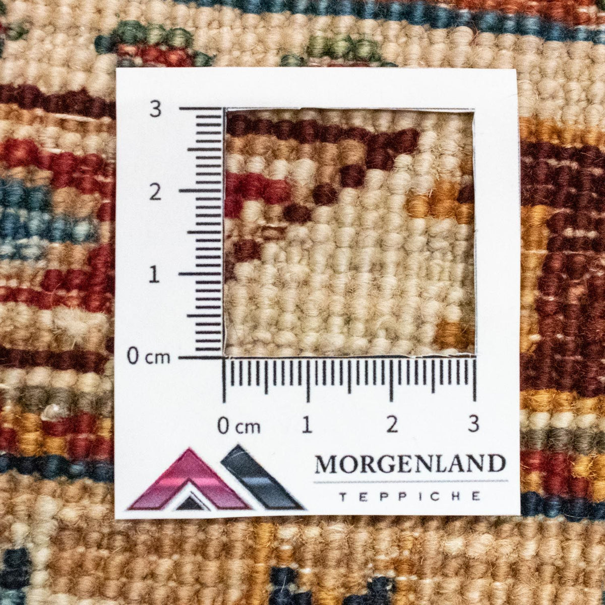 Tapis Ziegler - 263 x 181 cm - multicolore