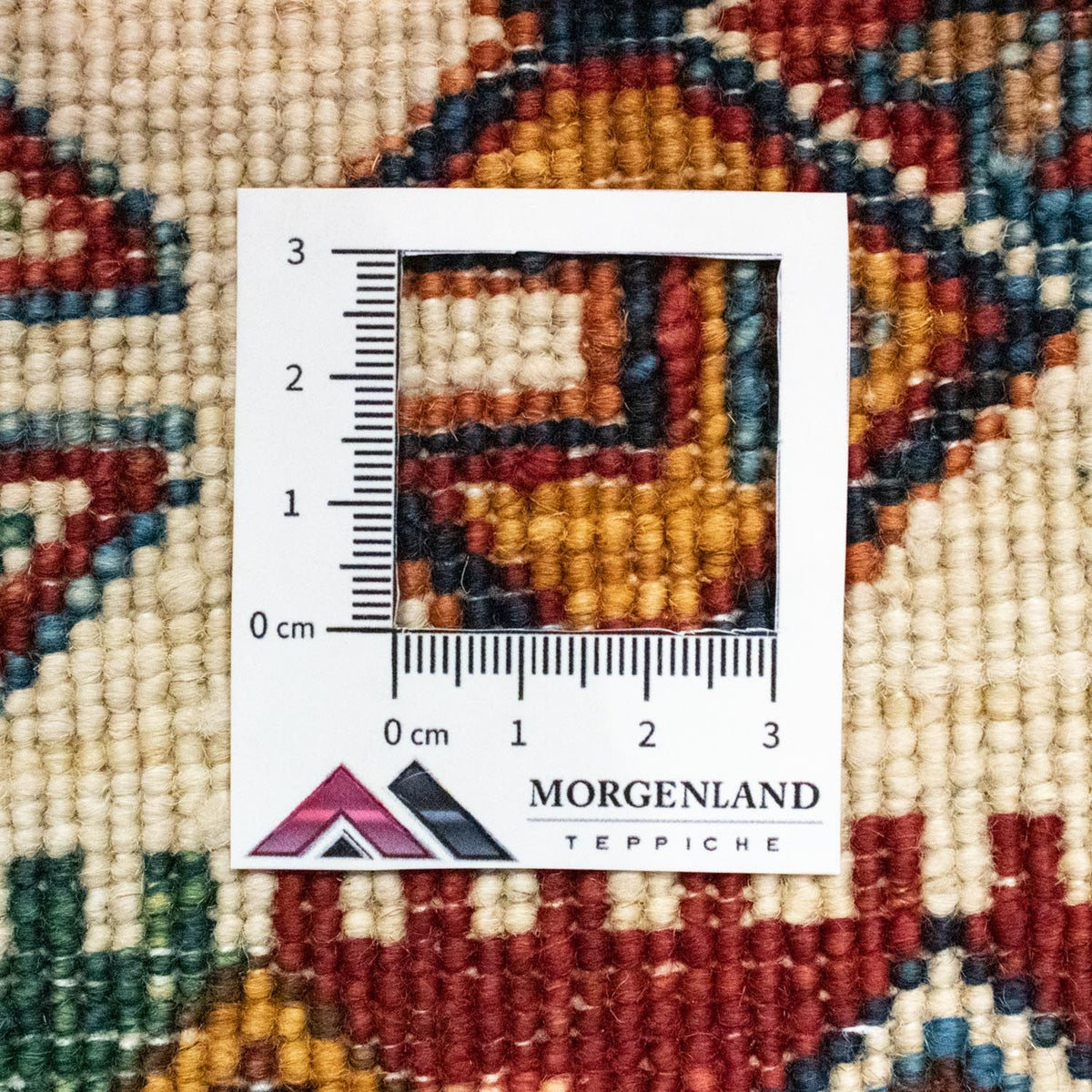 Tapis Ziegler - 241 x 174 cm - multicolore