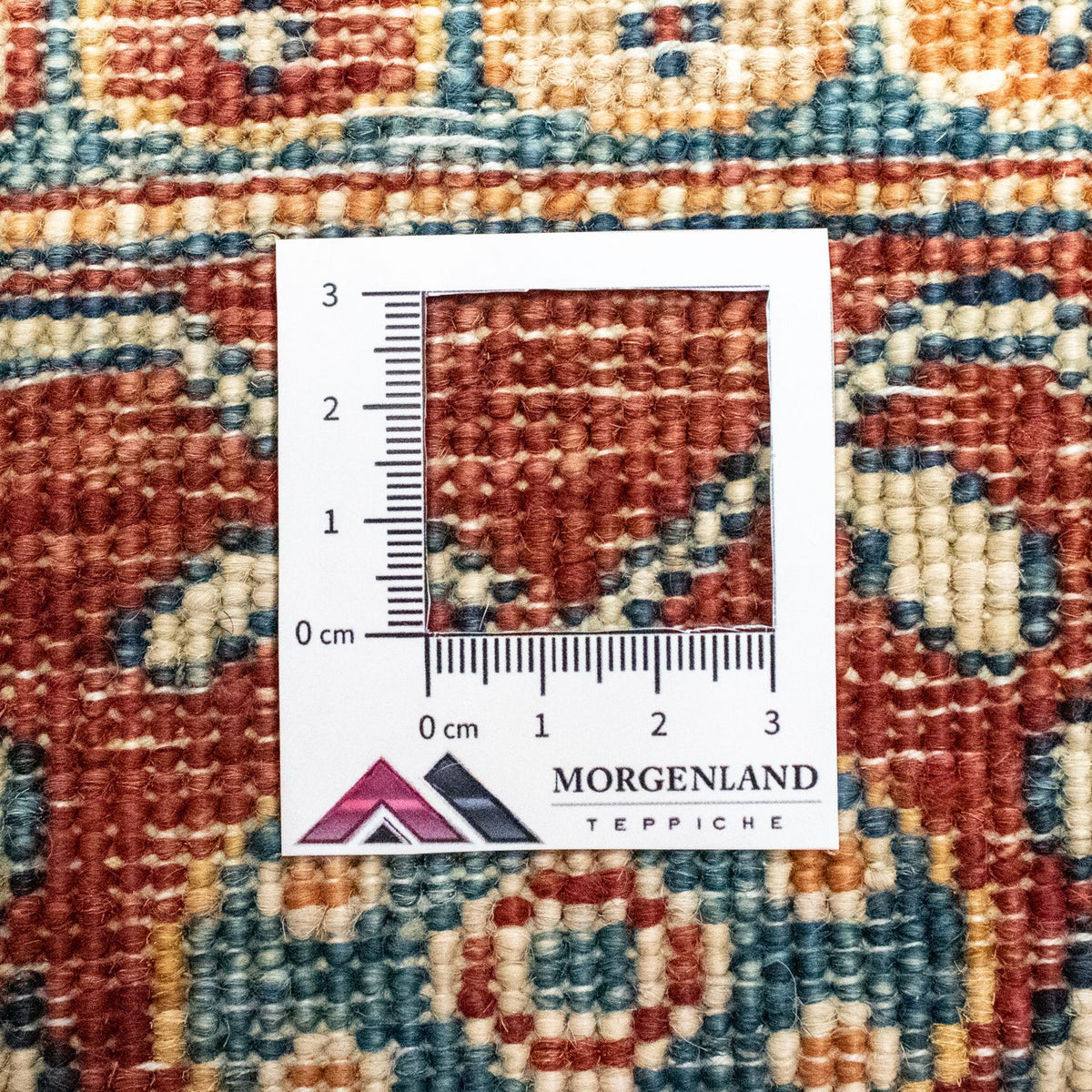 Tapis Ziegler - 239 x 182 cm - colorée