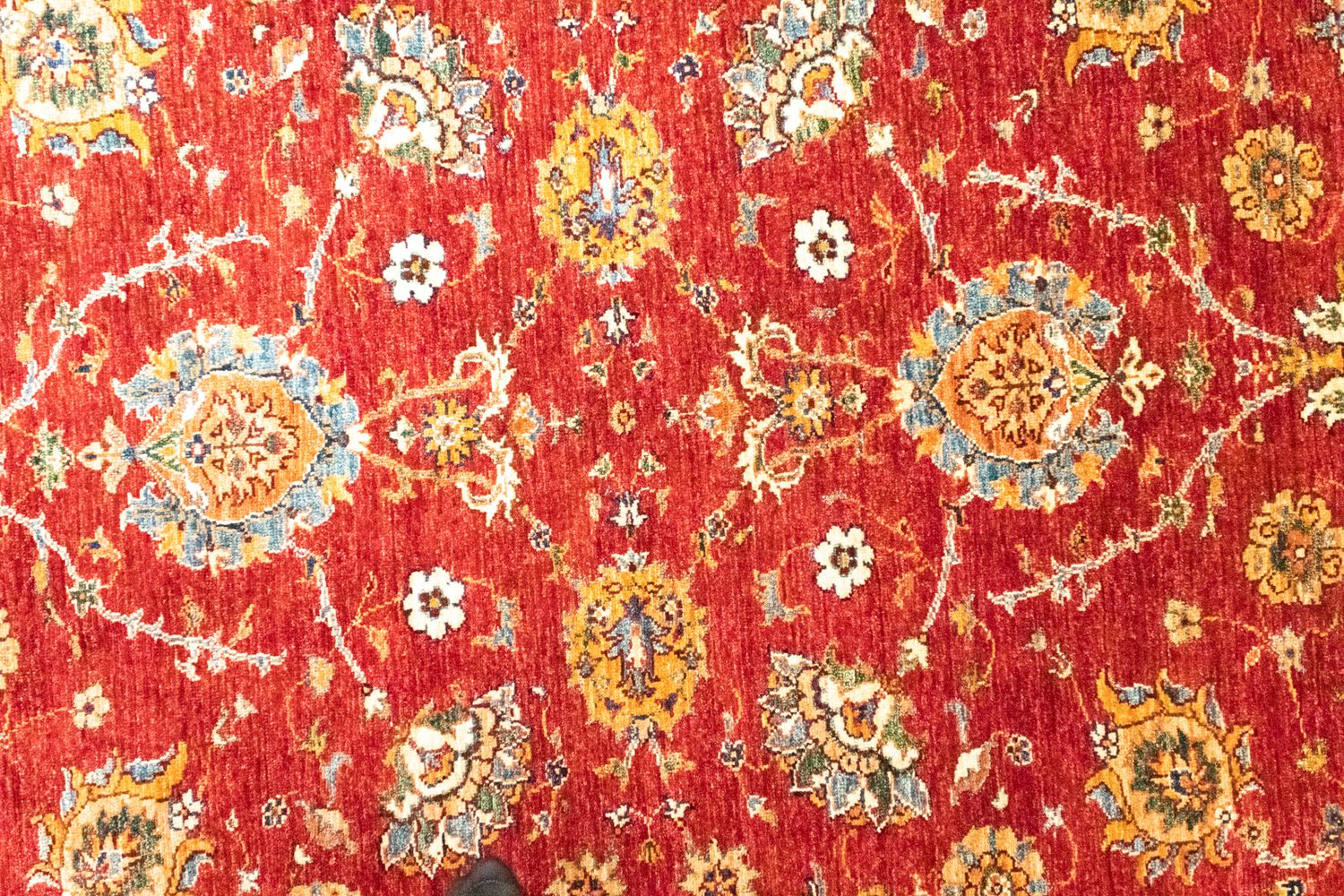 Tapis Ziegler - 242 x 177 cm - rouge