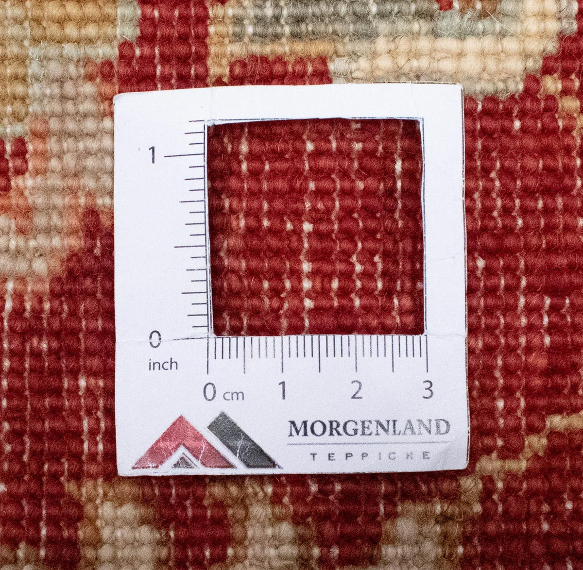 Tapis Ziegler - 391 x 302 cm - beige