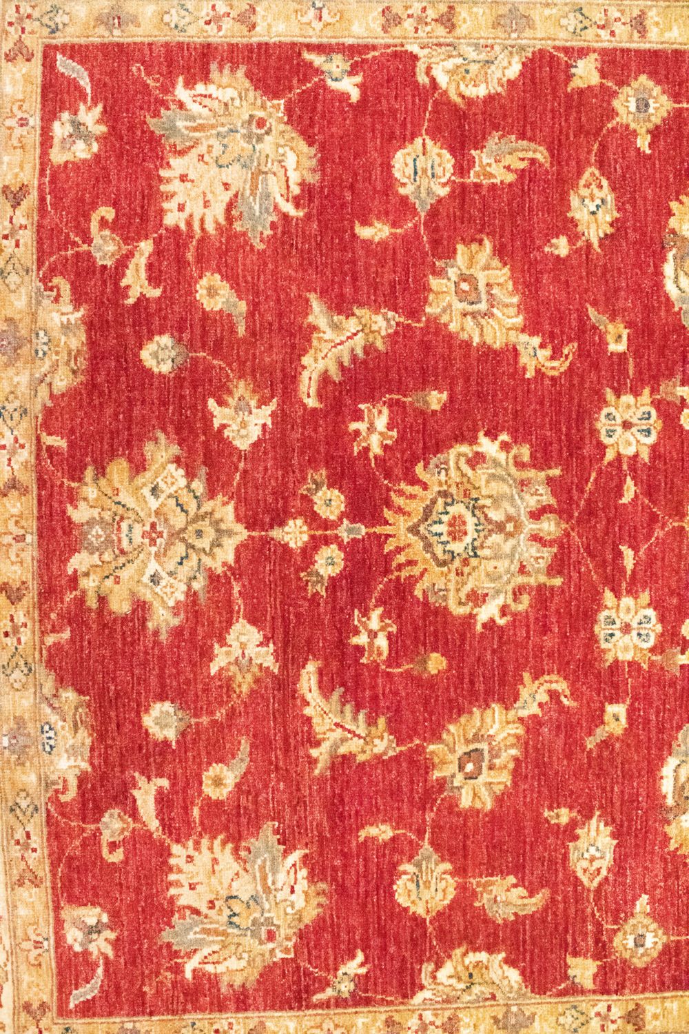 Tapis Ziegler - 202 x 150 cm - rouge