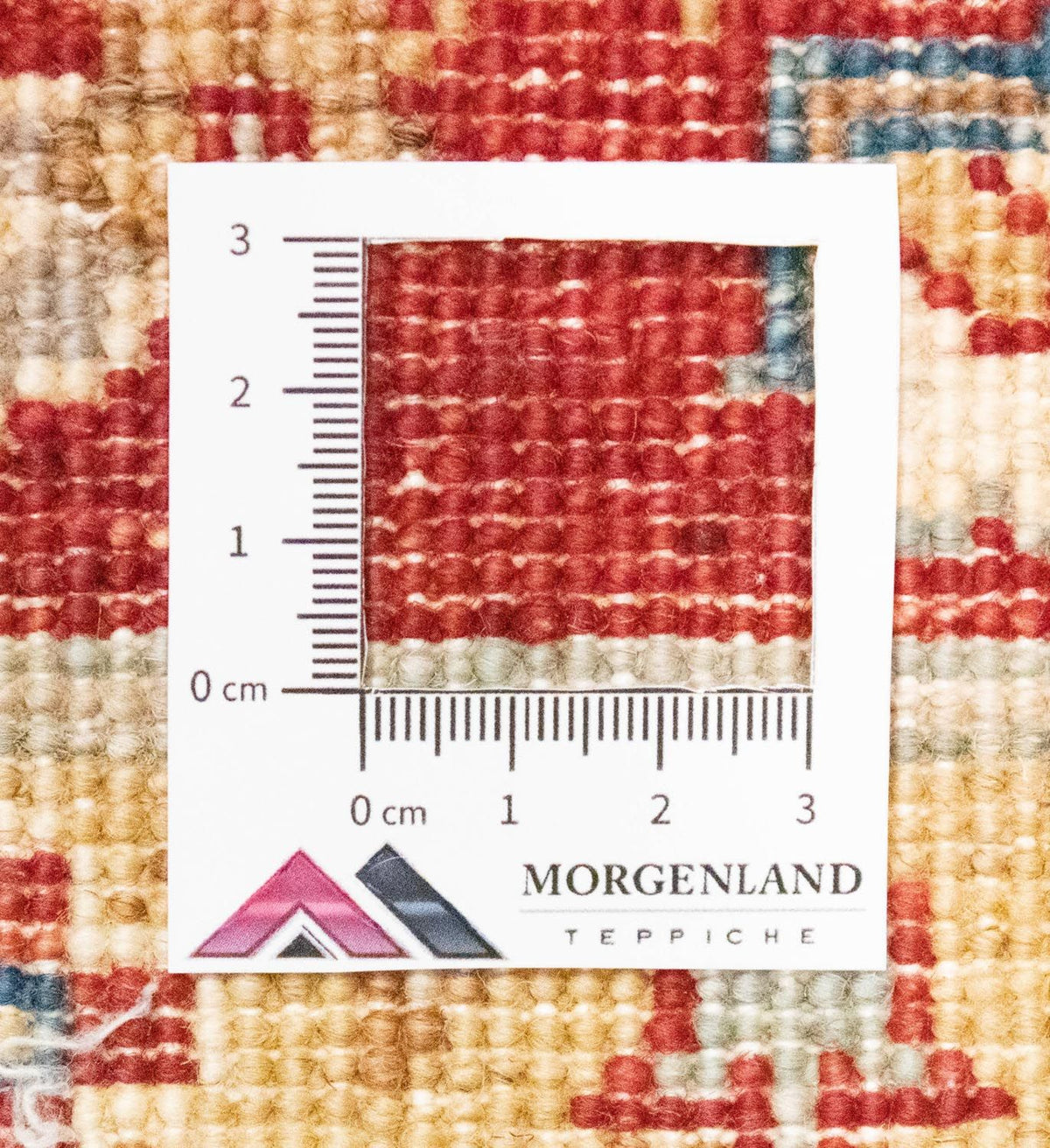 Tapis Ziegler - 215 x 160 cm - beige