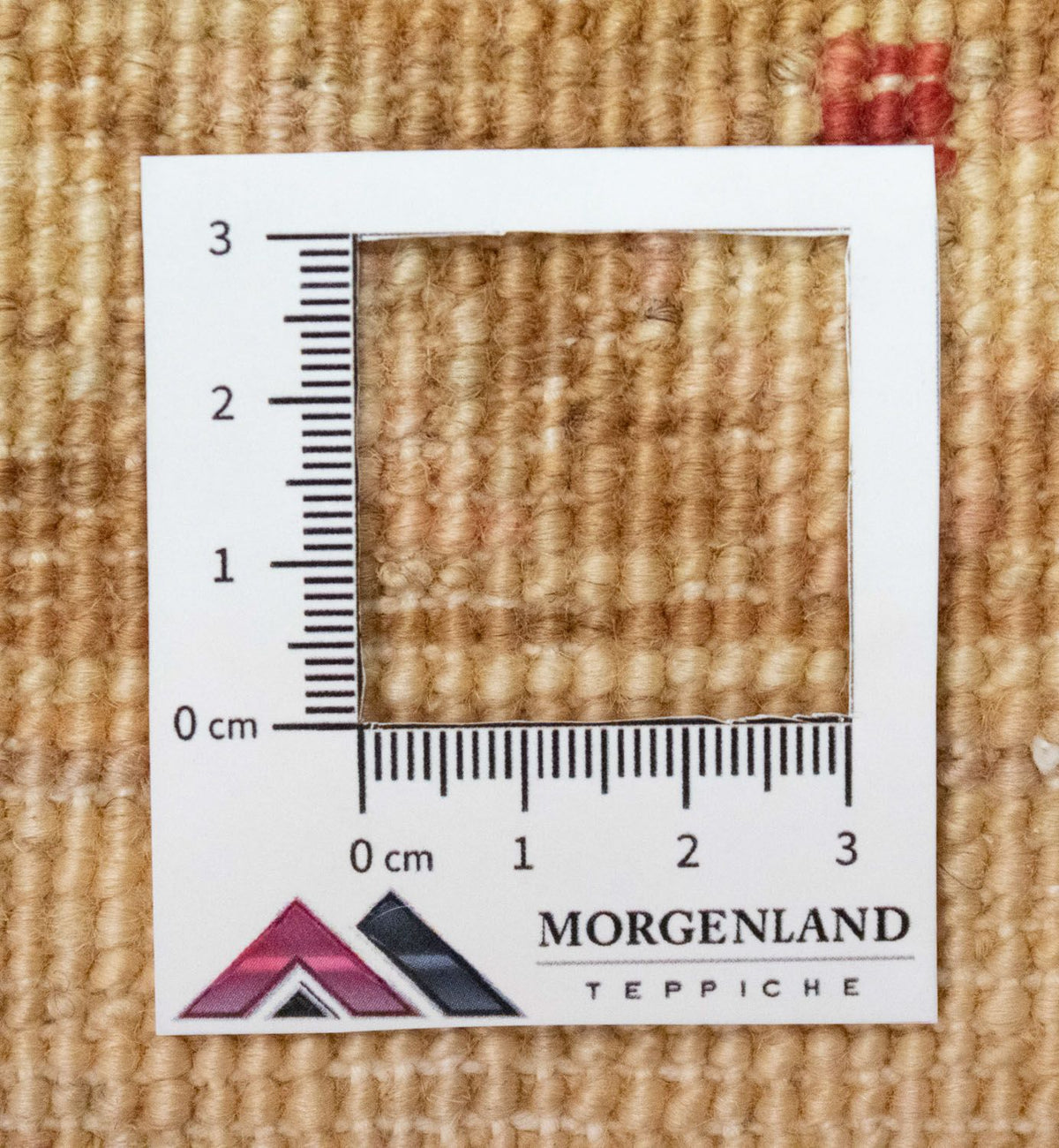 Tapis Ziegler - 188 x 132 cm - beige