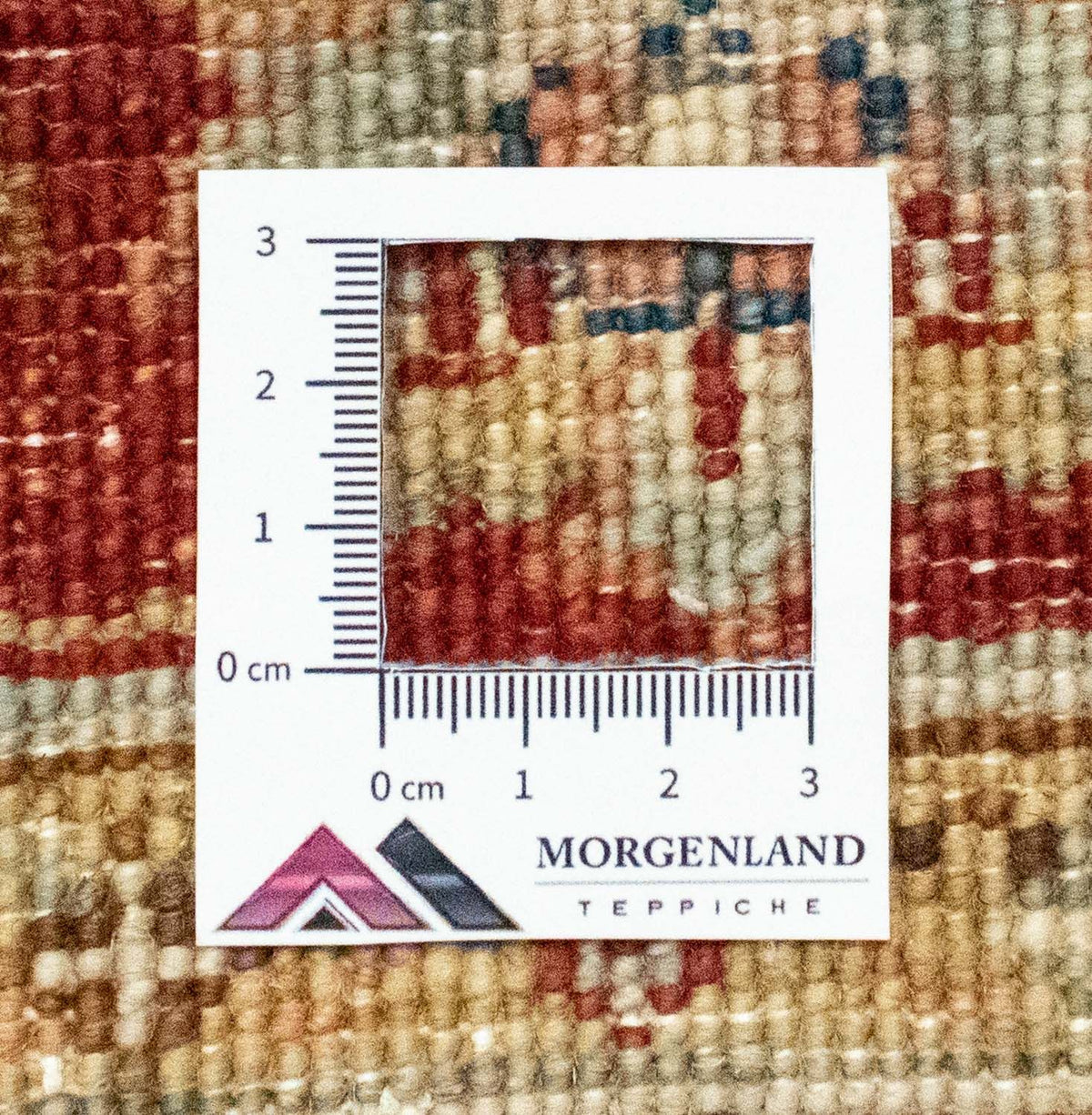 Tapis Ziegler - 161 x 101 cm - beige