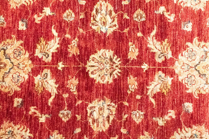 Tapis Ziegler - 153 x 101 cm - rouge