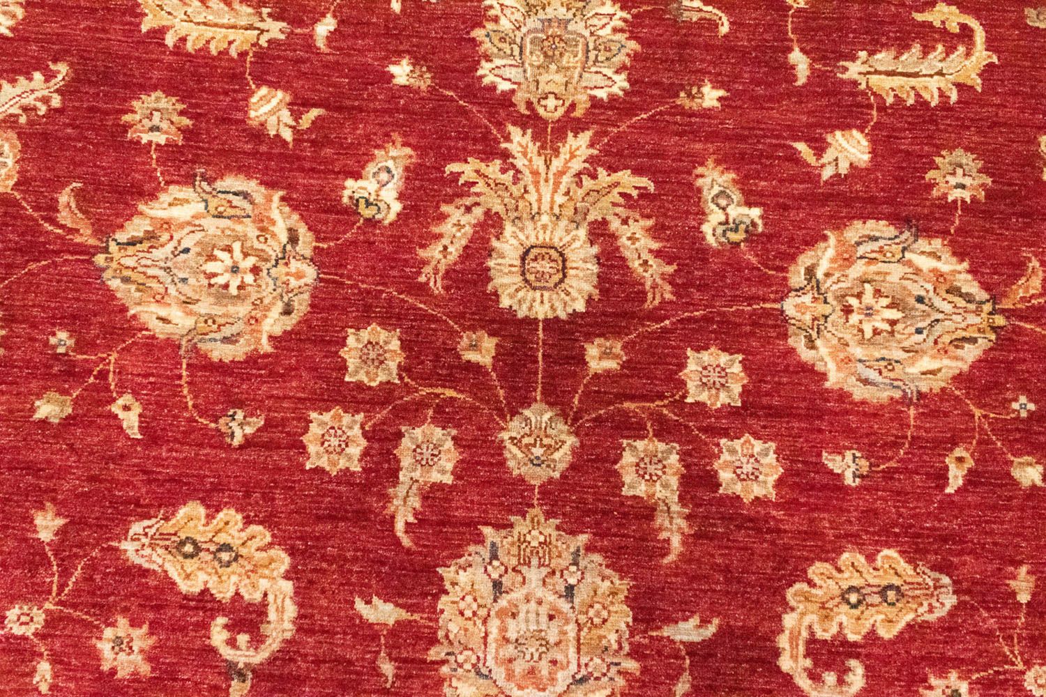 Tapis Ziegler - 296 x 210 cm - rouge
