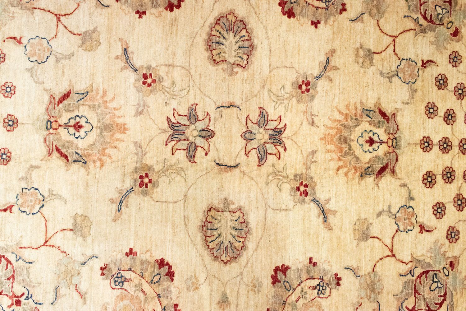 Tapis Ziegler - 294 x 211 cm - beige