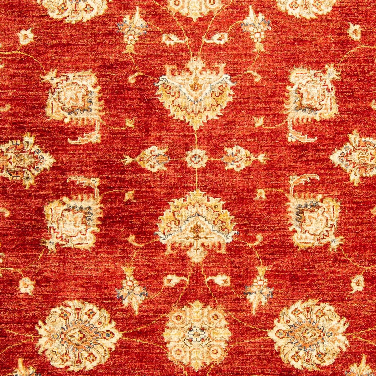 Tapis Ziegler - 207 x 152 cm - rouge foncé