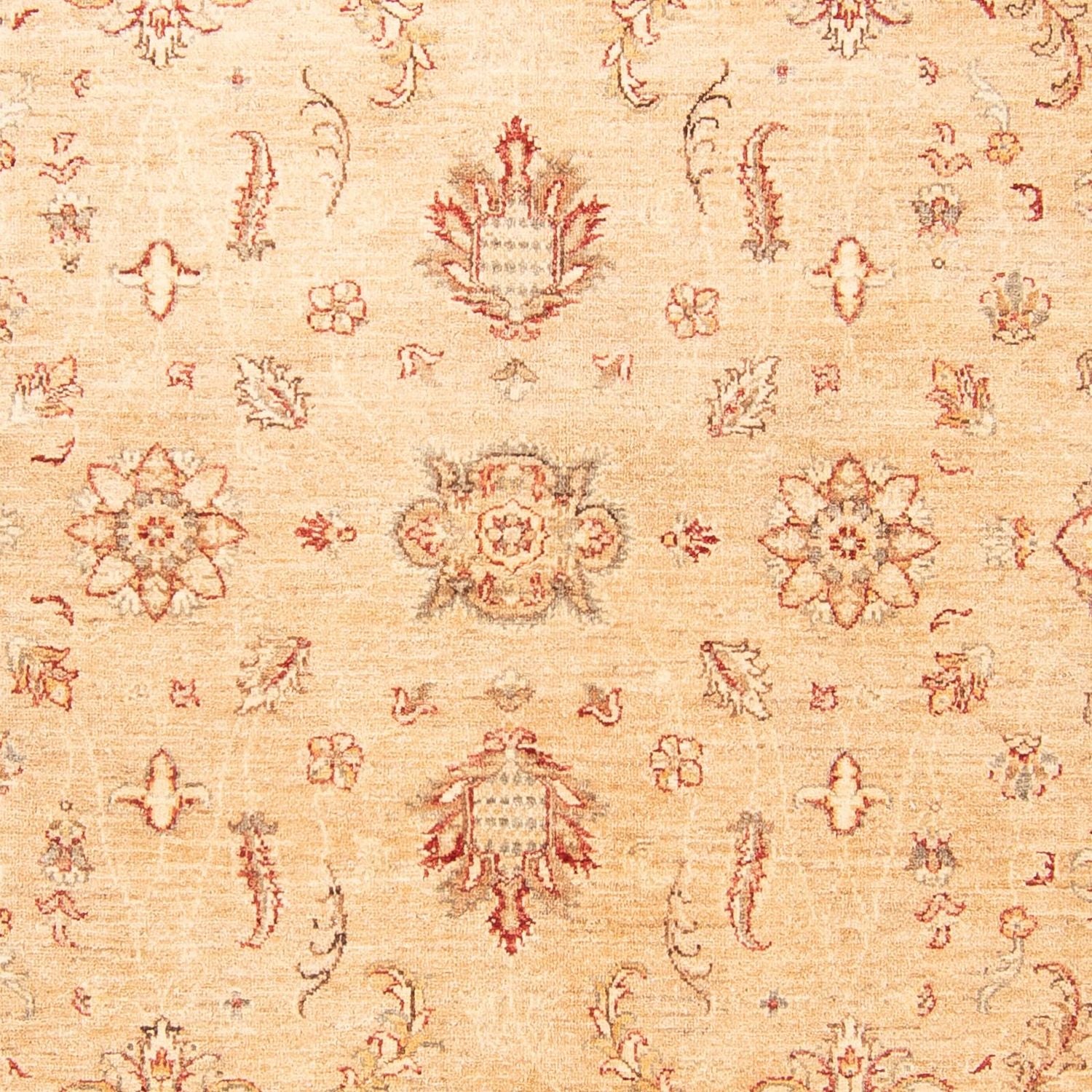 Tapis Ziegler - 292 x 209 cm - beige