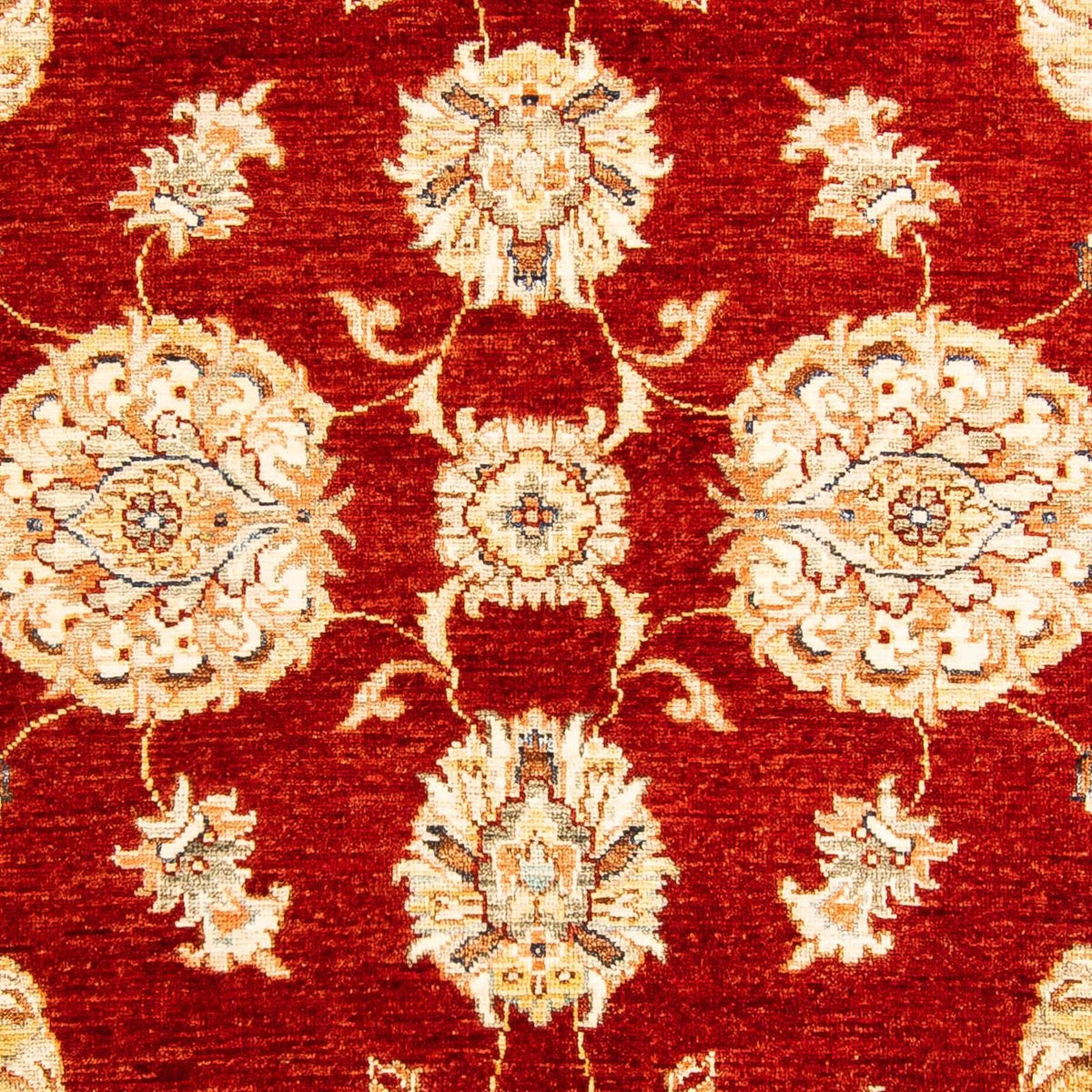 Tapis Ziegler - 193 x 125 cm - rouge foncé