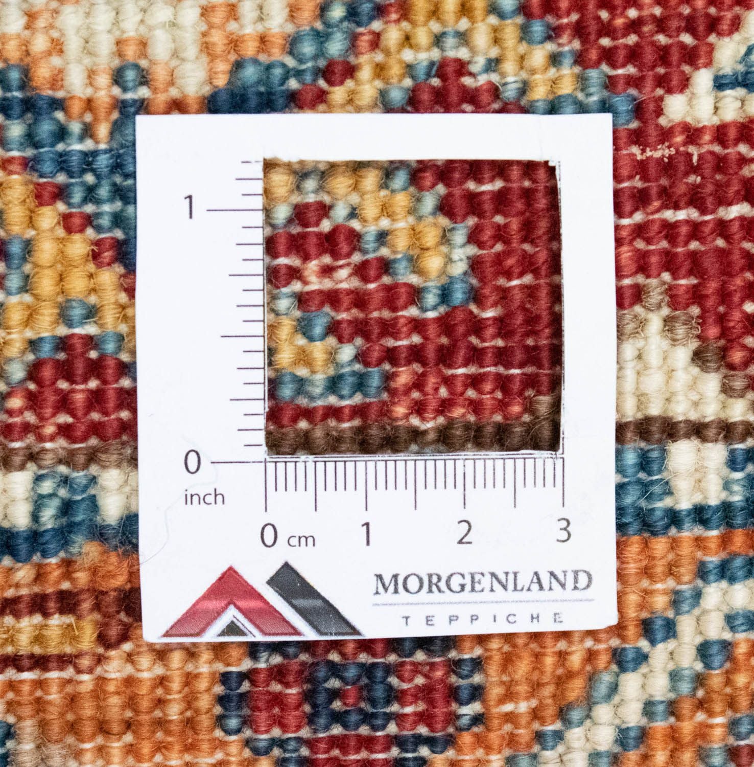 Tapis Ziegler - 309 x 221 cm - multicolore