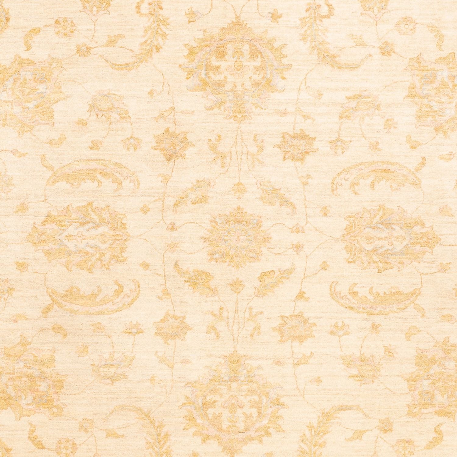 Tapis Ziegler - 342 x 255 cm - beige