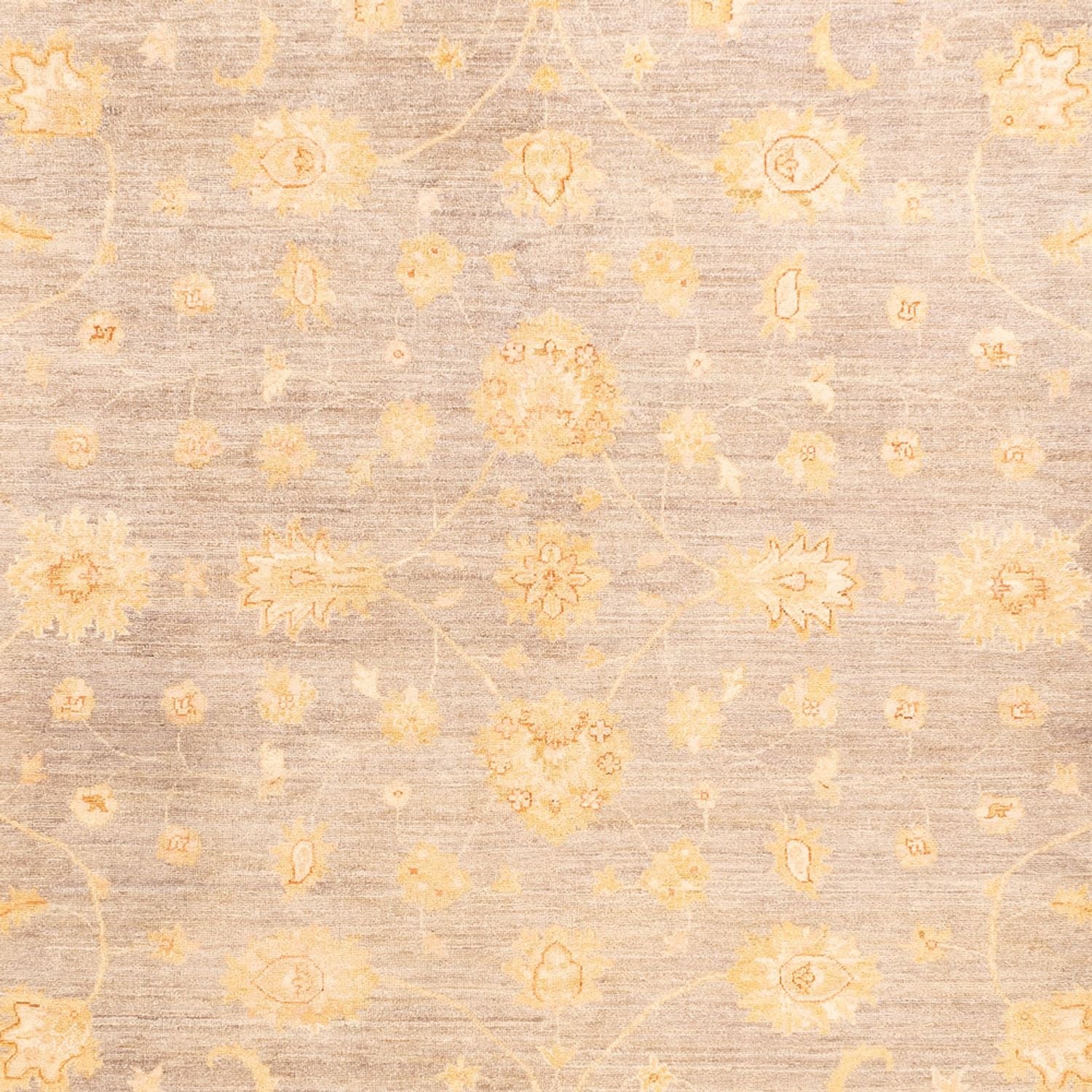 Tapis Ziegler - 354 x 260 cm - beige
