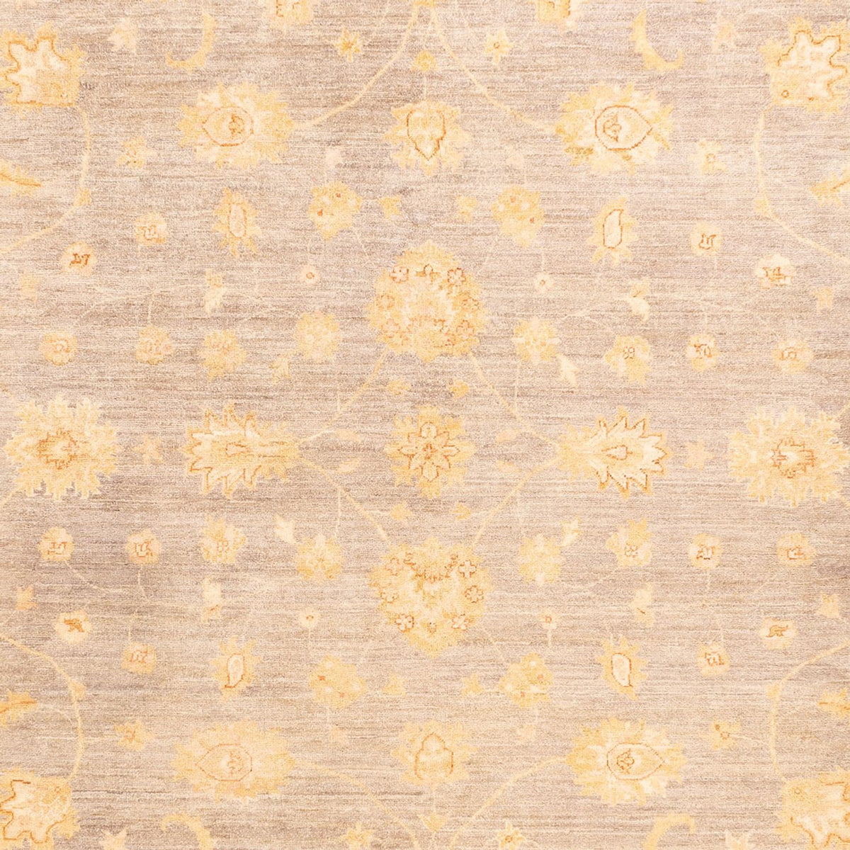 Tapis Ziegler - 354 x 260 cm - beige
