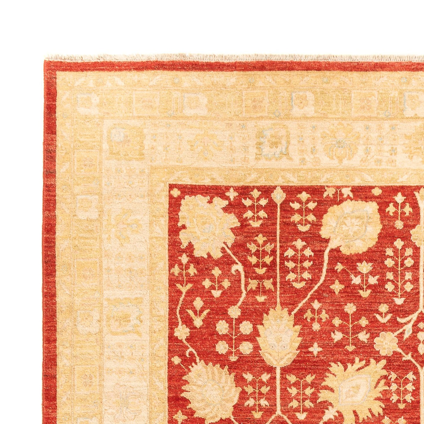 Tapis Ziegler 343x254cm - Tapis oriental