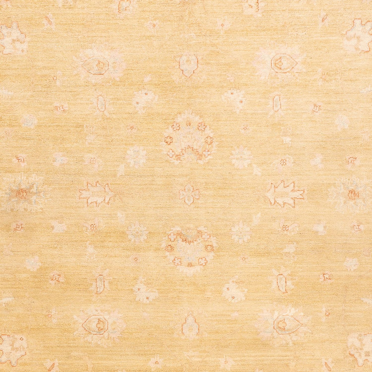 Tapis Ziegler - 350 x 255 cm - beige