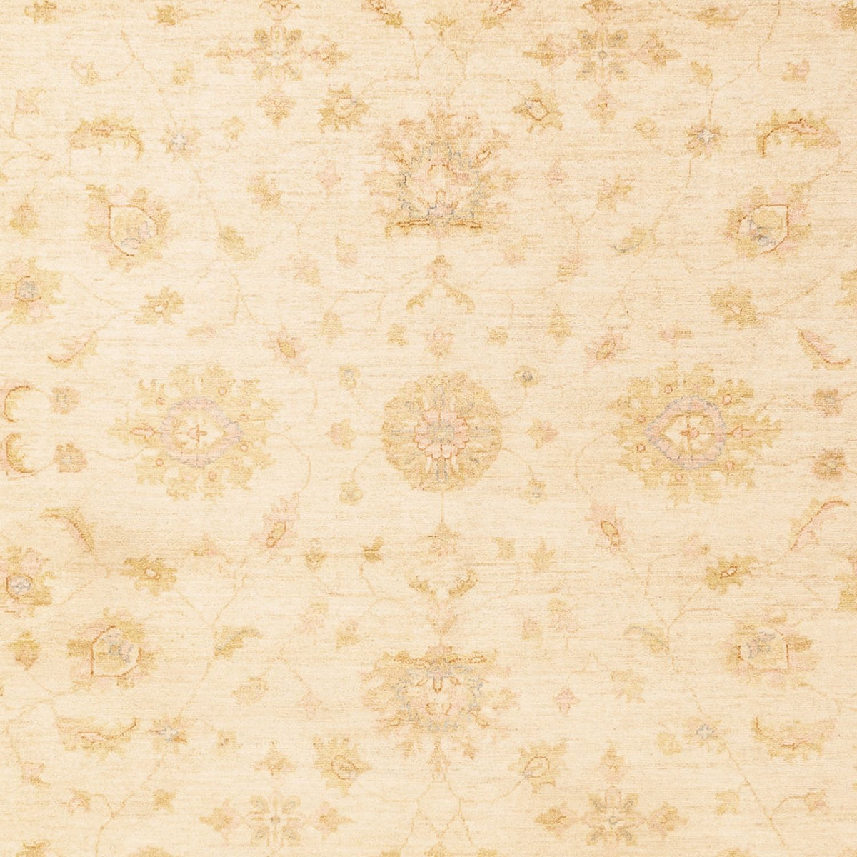 Tapis Ziegler - 344 x 254 cm - beige