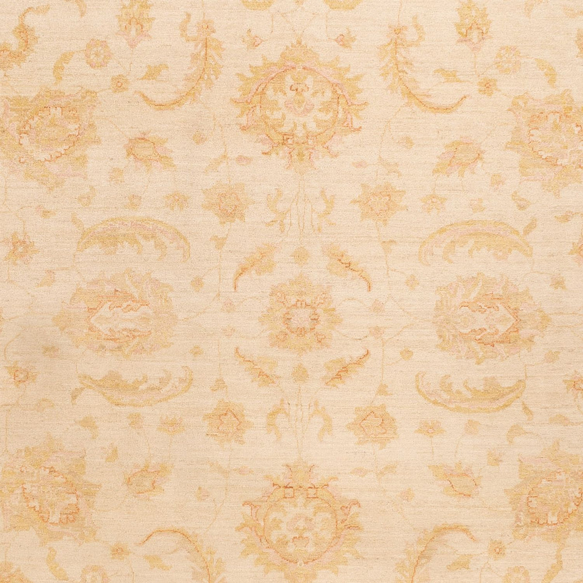 Tapis Ziegler - 342 x 256 cm - beige