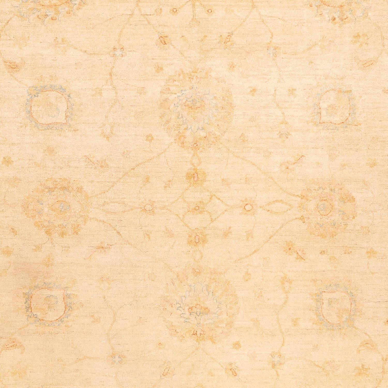 Tapis Ziegler - 347 x 256 cm - beige
